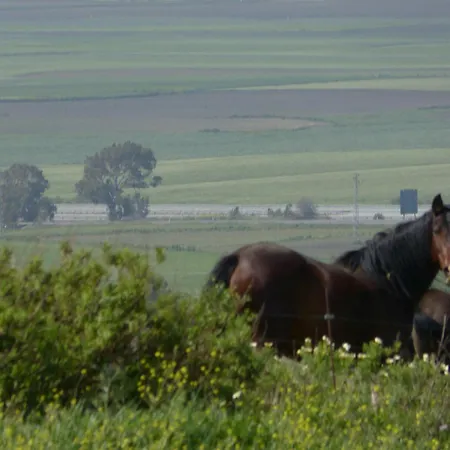 Sindhura Vejer de la Frontera