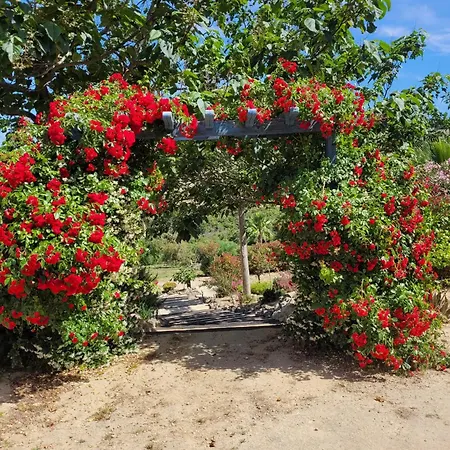 Sindhura 3* Vejer de la Frontera